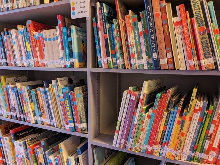 PXL_20231113_115934439