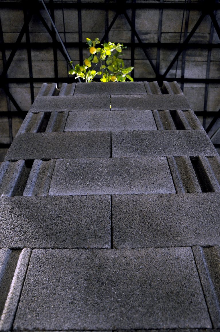 Il giardino delle mele doro_ph by the artist_DSC5724