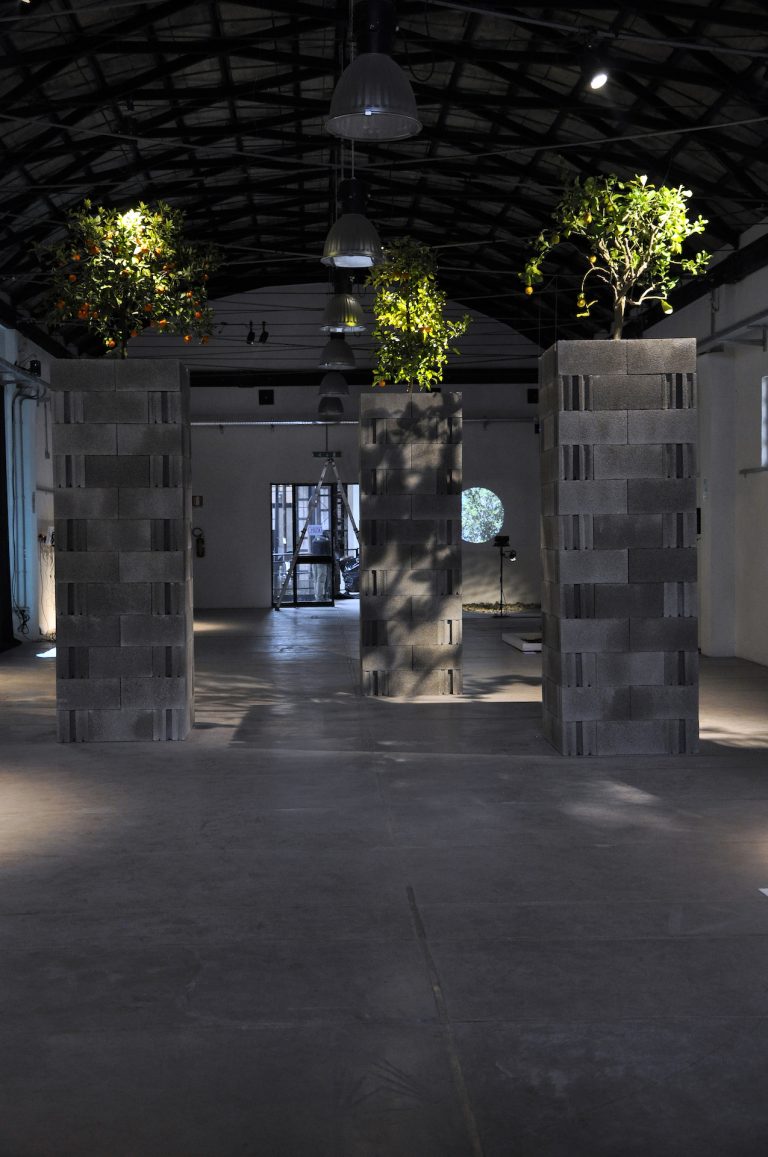 Il giardino delle mele doro_ph by the artist_DSC5781