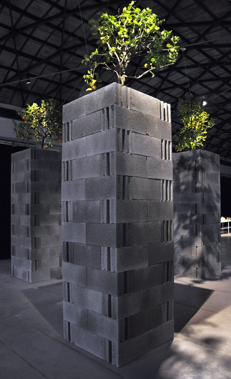 Il giardino delle mele doro_ph by the artist_DSC5878