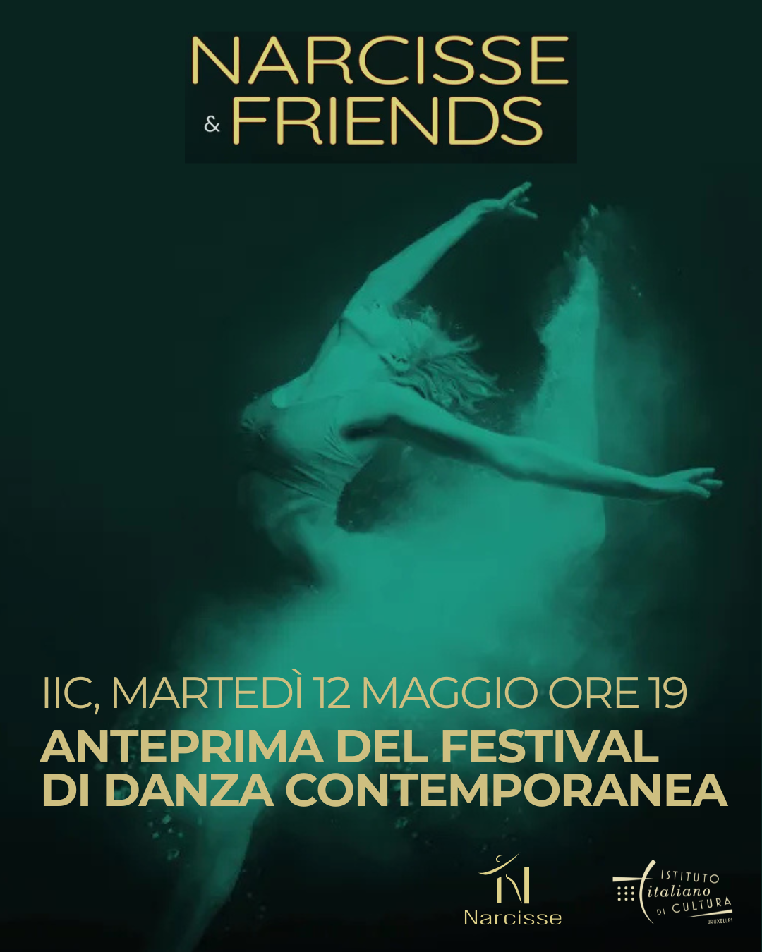 Narcisse IIC-IG 2026